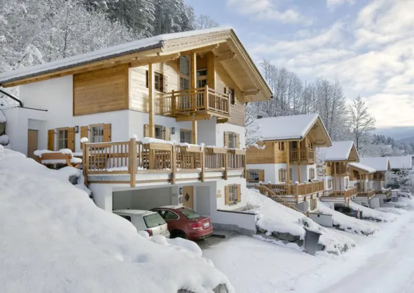 0025 WLD Hoge Loo winter 2