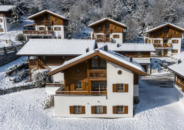 Wald im Pinzgau Sch C3 B6neben Chalet Vienna winter