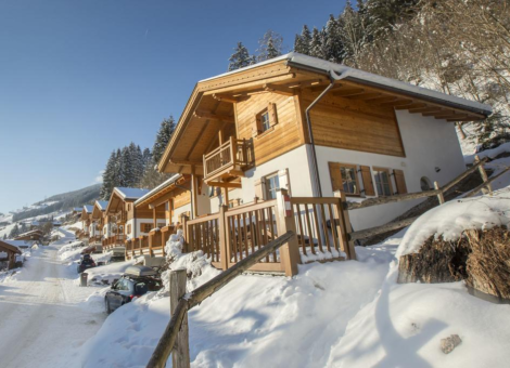 0001 WLD Waldblick winter 4