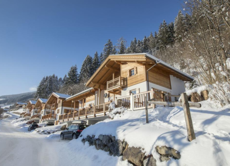 0031 WLD Waldblick winter 1