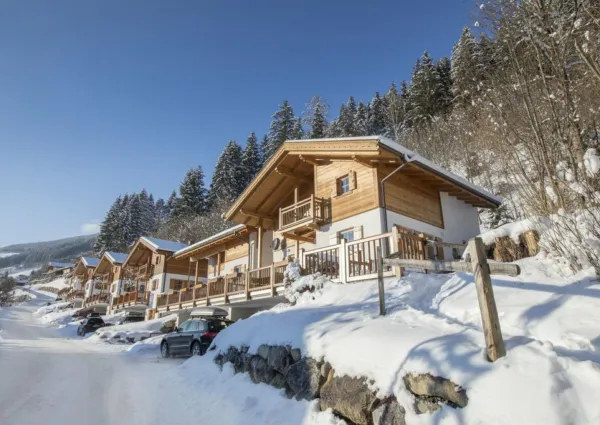 0031 WLD Waldblick winter 1