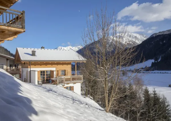 0029 WLD Waldkrone winter 5