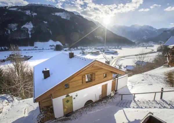 0030 WLD Waldkrone winter 4