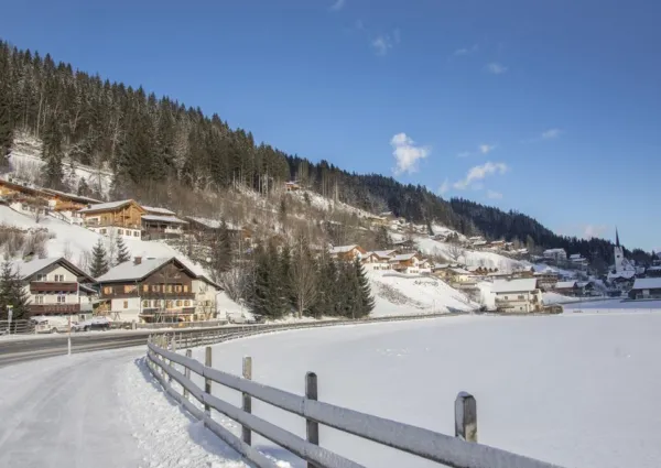 0031 WLD Waldkrone winter 6