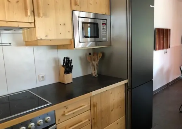 0006 WLD Alpen Aster 2a