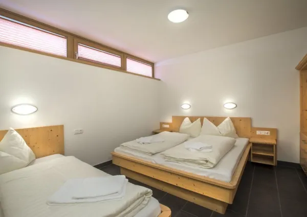 0010 WLD Alpen Aster 11