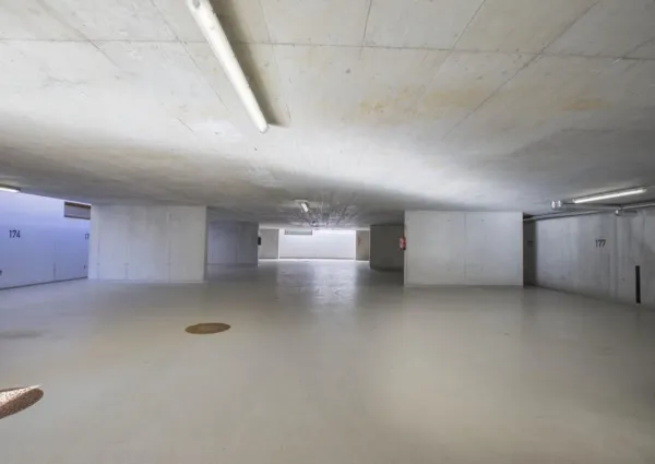 0018 WLD Alpen Aster 19