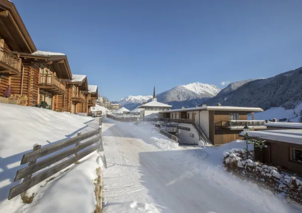 0023 WLD Alpen Aster winter 1