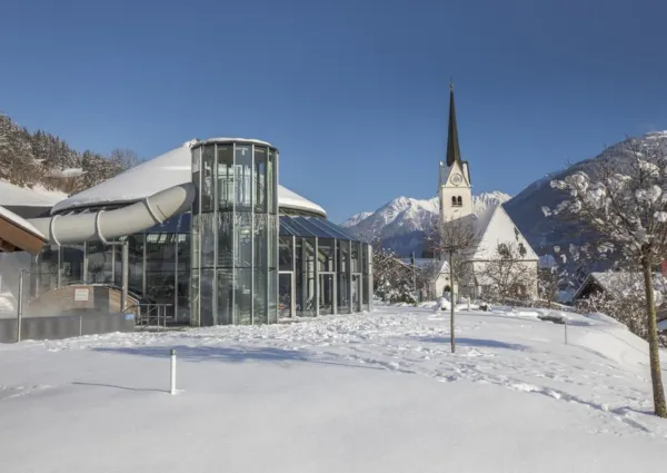 0031 WLD Alpen Aster winter 5