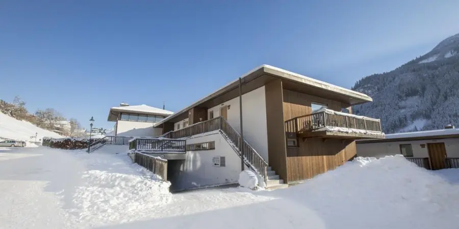 0024 WLD Alpen Aster winter 4