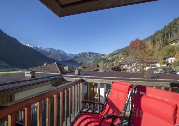 0002 WLD Alpen Aster zomer 12