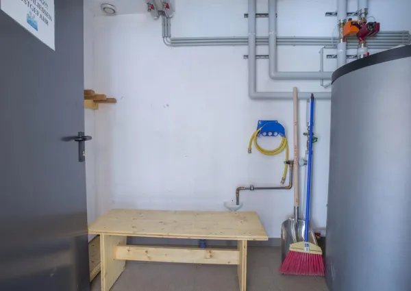 0018 WLD Alpenglockchen 19