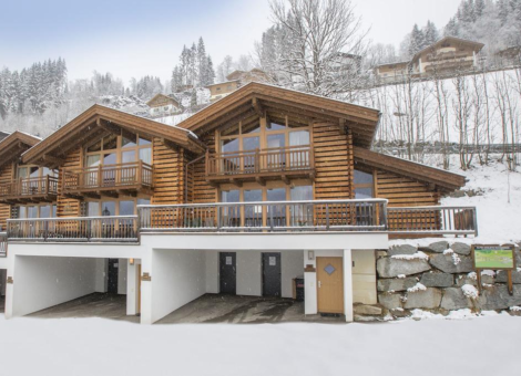 0029 WLD Alpenglockchen winter 1