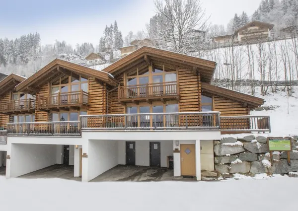 0029 WLD Alpenglockchen winter 1