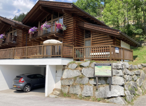 WLD Alpenglockchen zomer 7