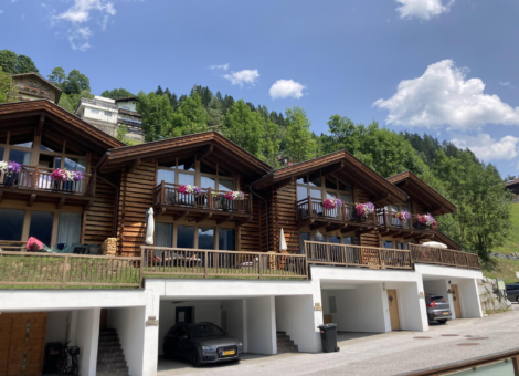 WLD Alpenglockchen zomer 8