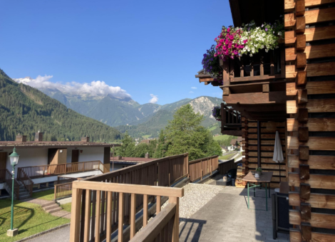 WLD Alpenglockchen zomer 9