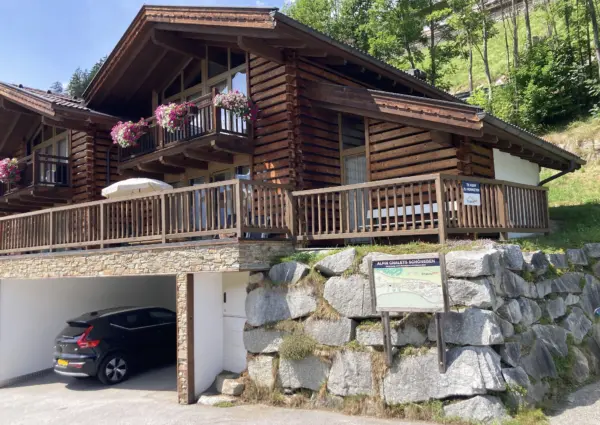 Wald im Pinzgau Haus Alpengl C3 B6ckchen aanzicht zomer 2026