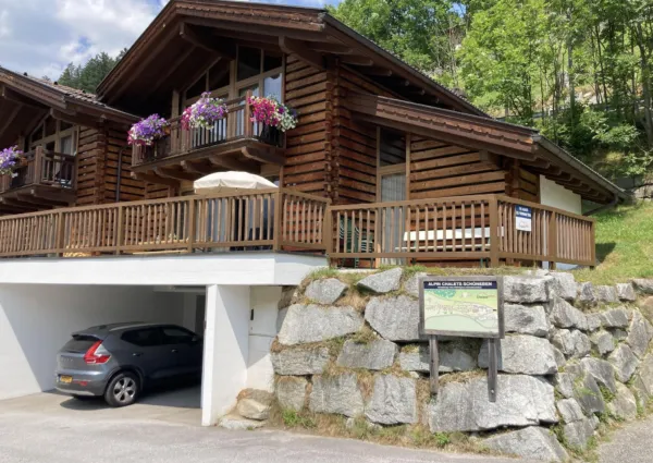 WLD Alpenglockchen zomer 7