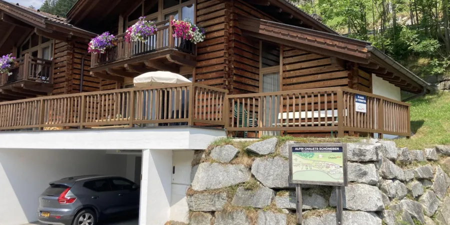 WLD Alpenglockchen zomer 7