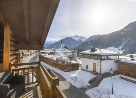 0034 WLD Anemone winter 6 kopie