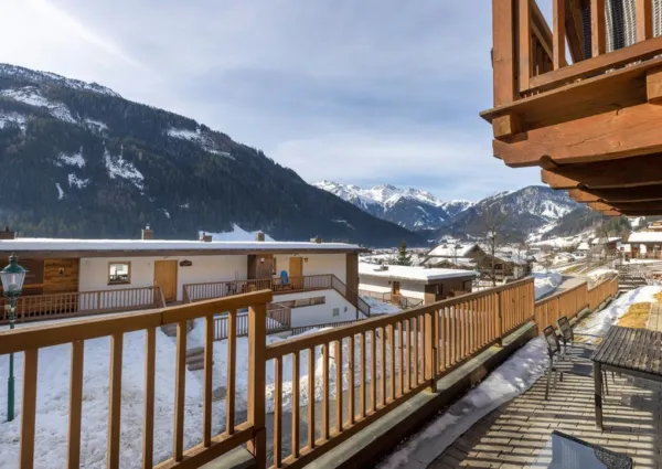 0031 WLD Anemone winter 3a kopie