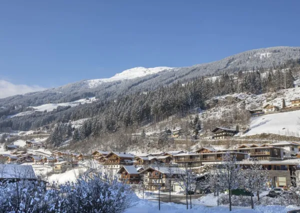 0026 WLD Schoneben algemeen winter 5 kopie