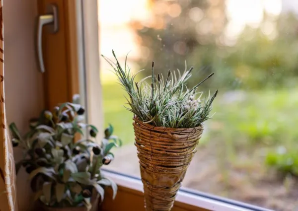 0014 WLD Hochfeld 13