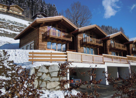 0001 WLD Haus Silberdistel winter 1