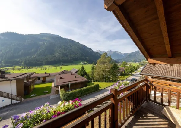 0031 WLD Hochfeld zomer 4