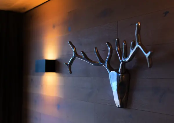 Bramberg Smaragdresort Eisenrose woonkamer detail