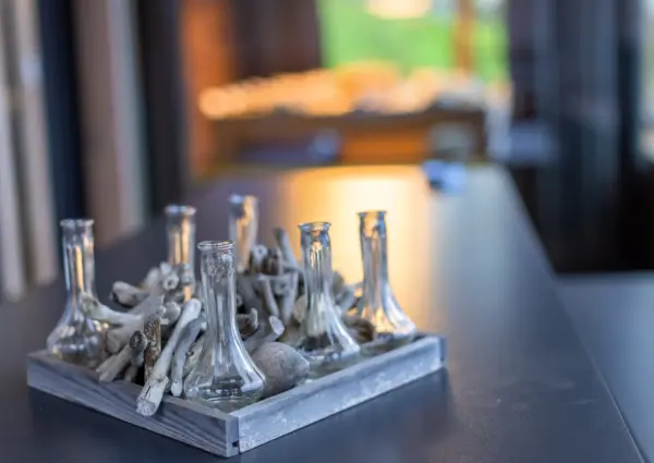 Bramberg Smaragdresort Eisenrose terra detail