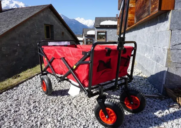 0019 BB Eisenrose 19