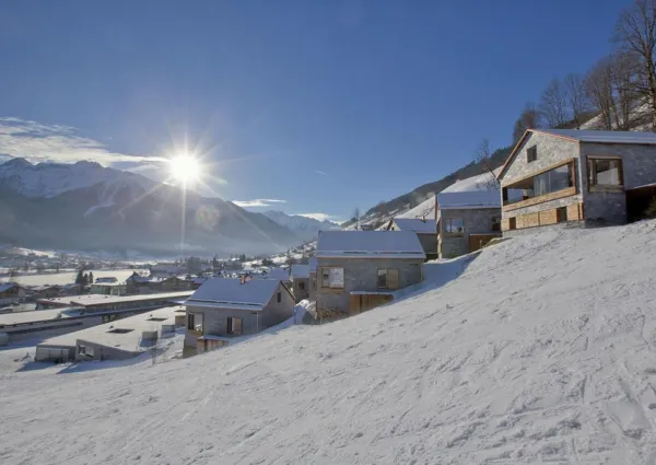 0026 BB Eisenrose winter 2