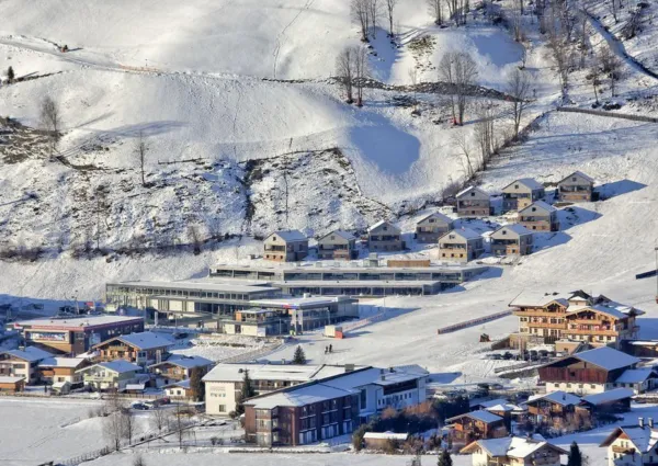 0029 BB Eisenrose winter 5