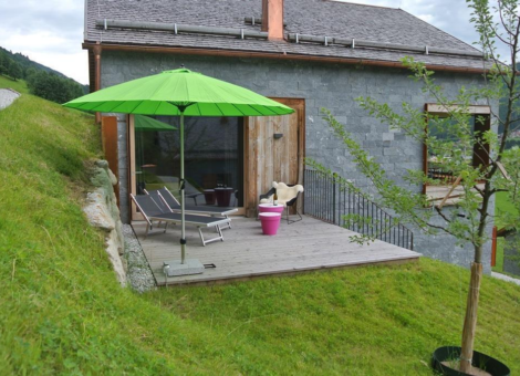 0002 BB Eisenrose zomer 6