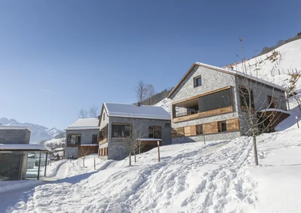 0029 BB Emerald winter 4