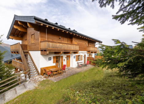 HK Steinadler zomer 1