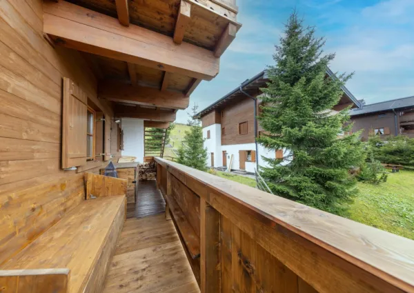 HK Steinadler zomer 5