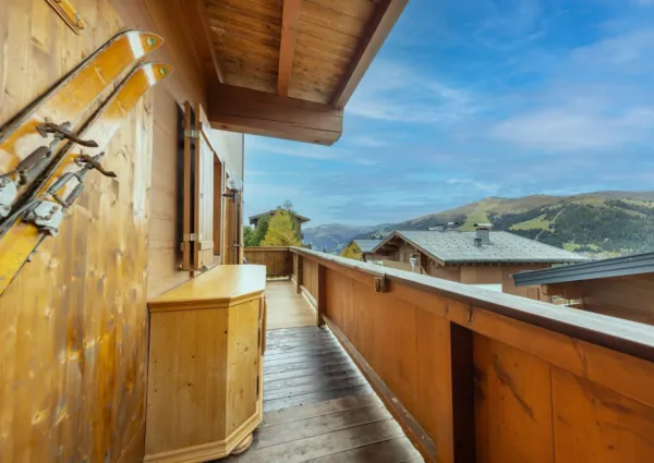 HK Steinadler zomer 6