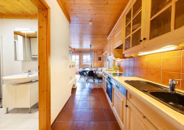 HK Steinbock 16 bewerkt