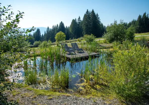 Fanningberg Zomervijver