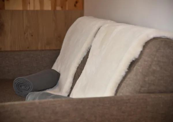 FAN Zirbelh C3 B Ctte 4