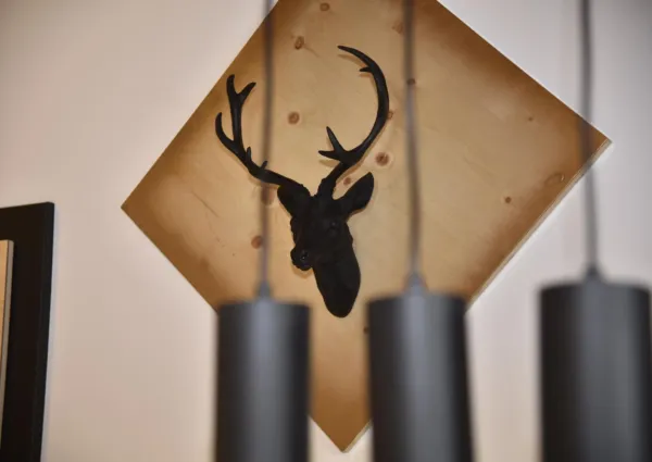 FAN Zirbelh C3 B Ctte 6