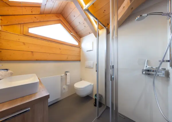 Zwillings Asten 1 badkamer 2