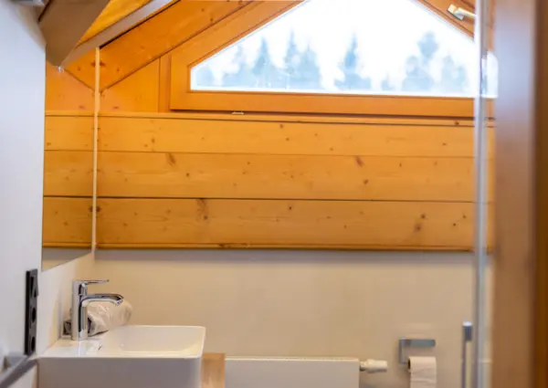 Zwillings Asten 1 badkamer 2 2