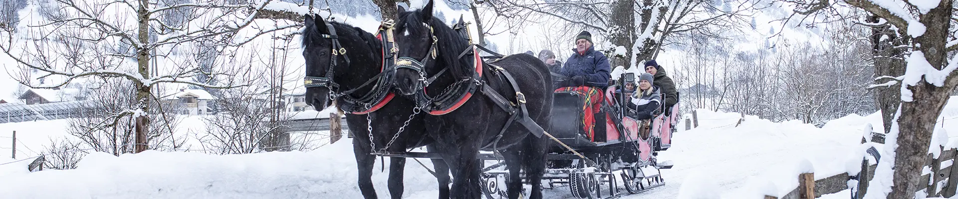 Romantische pferdeschlittenfahrt in vertraeumter winterlandschaft c florian bachmeier tourismusverband rauris