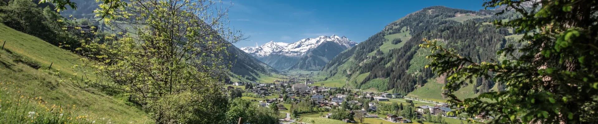 Raurisertal C Creatina