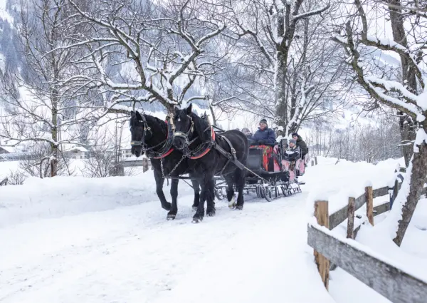 Romantische pferdeschlittenfahrt in vertraeumter winterlandschaft c florian bachmeier tourismusverband rauris
