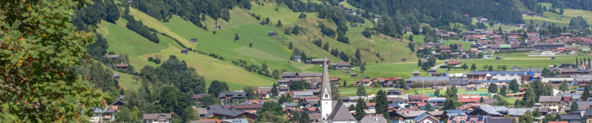 BB header BB Zomer 1600 x 483 px 1650 x 483 px